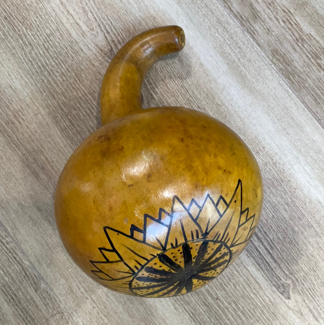 Maraca chamanica Africana